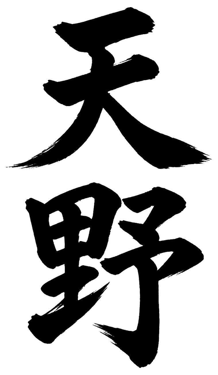 天野