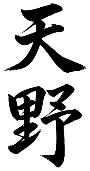 天野