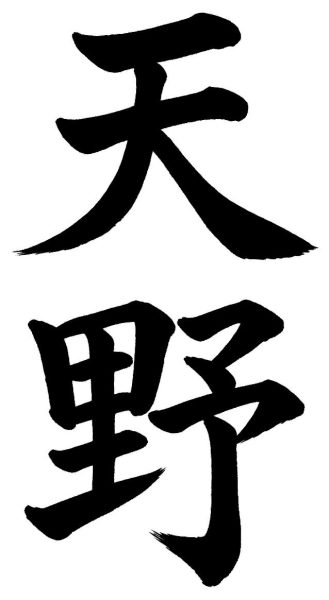 天野