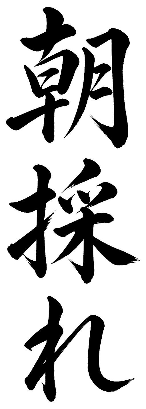 朝採れ