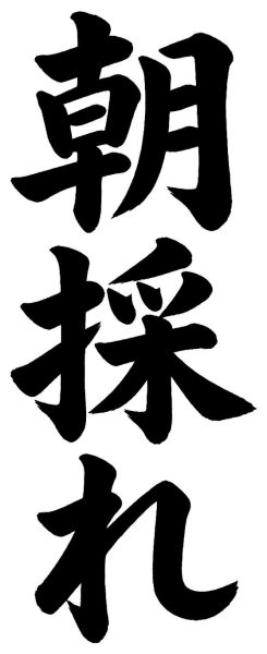 朝採れ