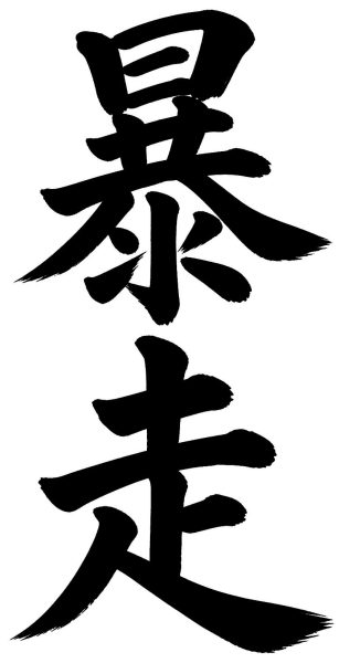 暴走