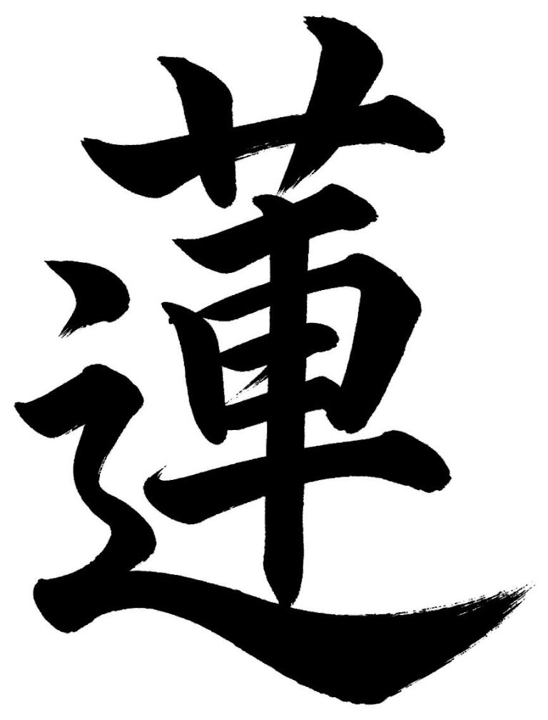蓮