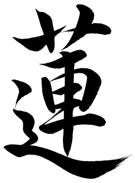 蓮