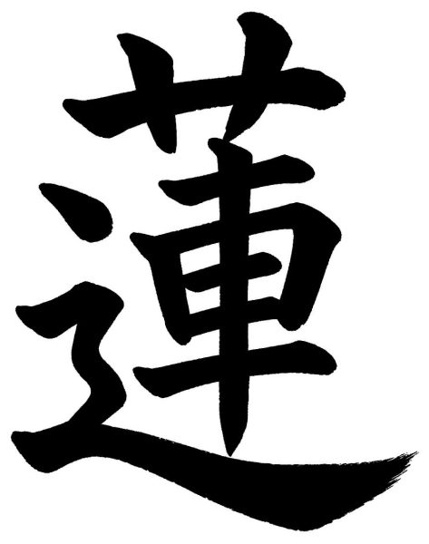 蓮