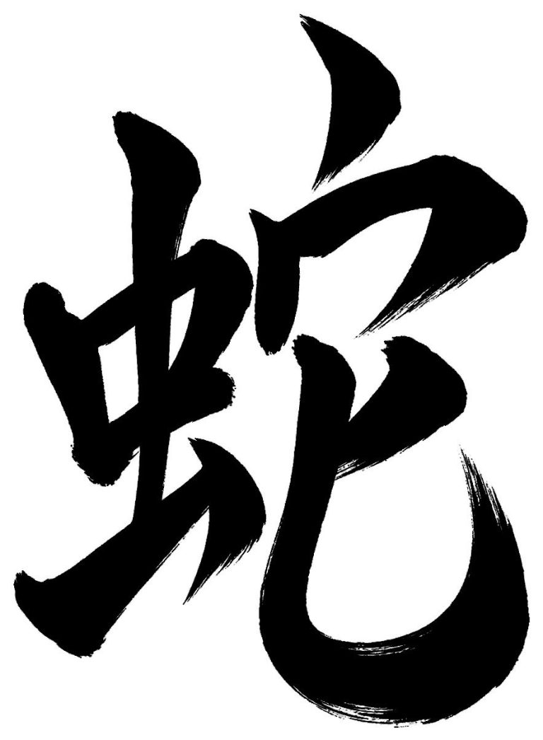 蛇