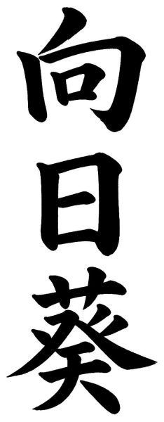 向日葵