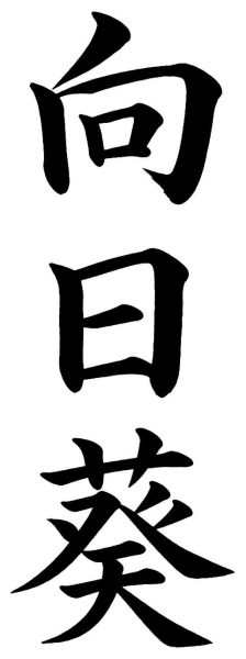 向日葵