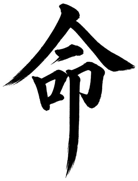 命