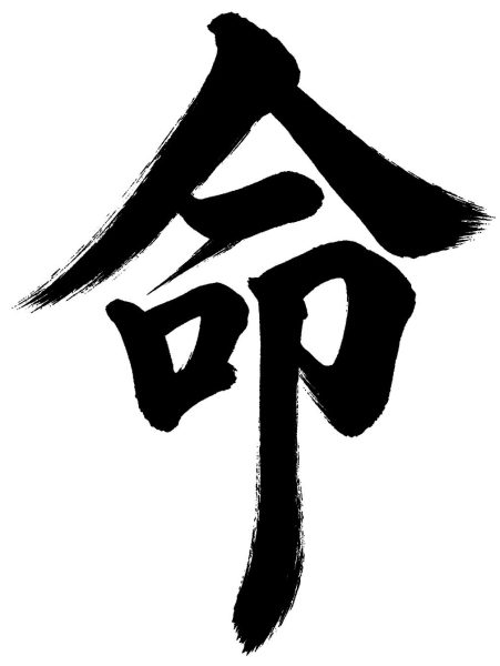 命