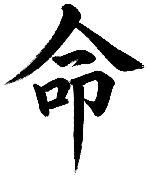 命