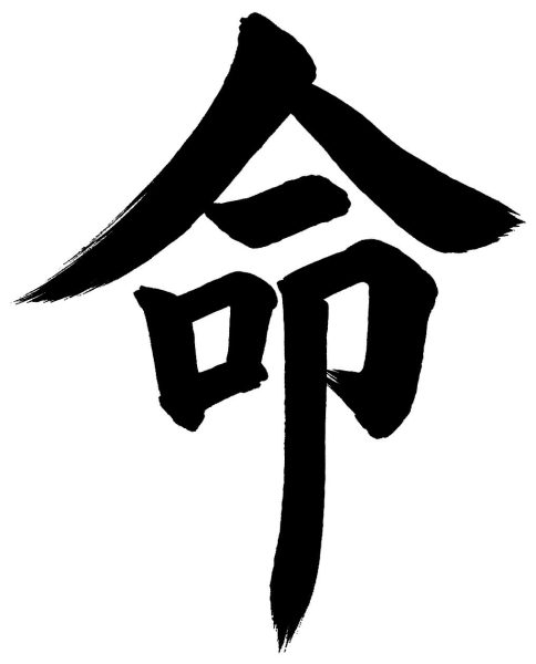 命