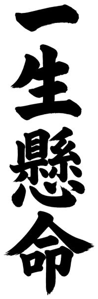 一生懸命