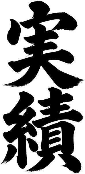 実績