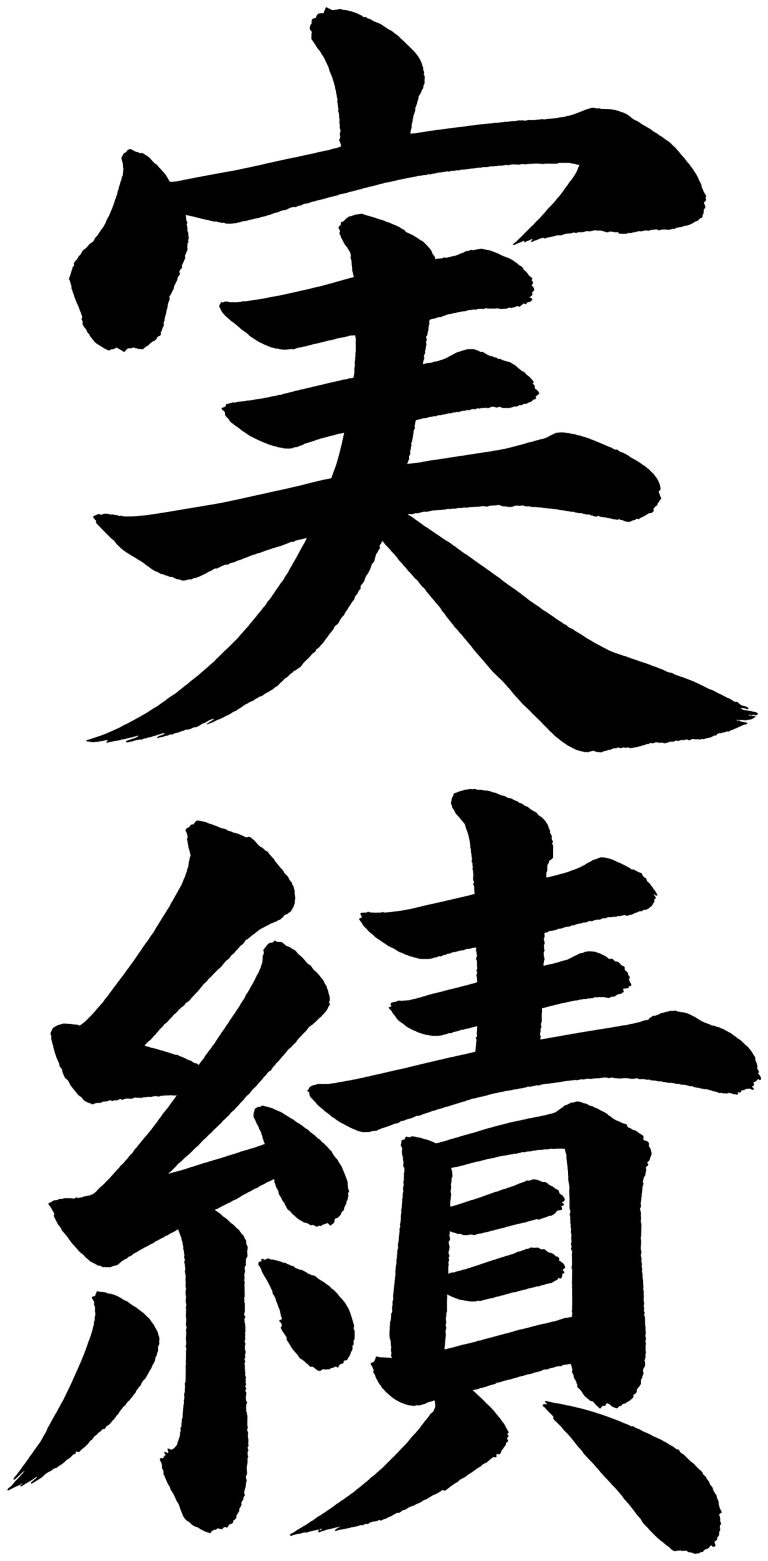 実績