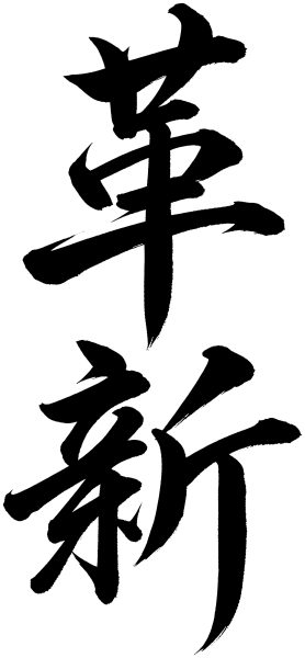 革新