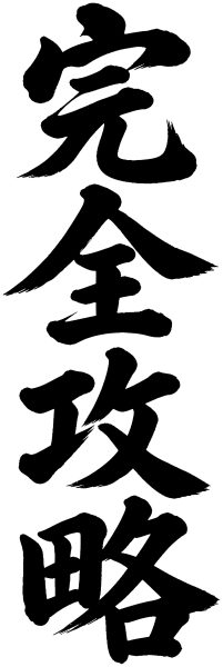 完全攻略