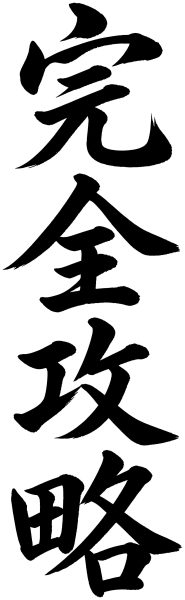 完全攻略