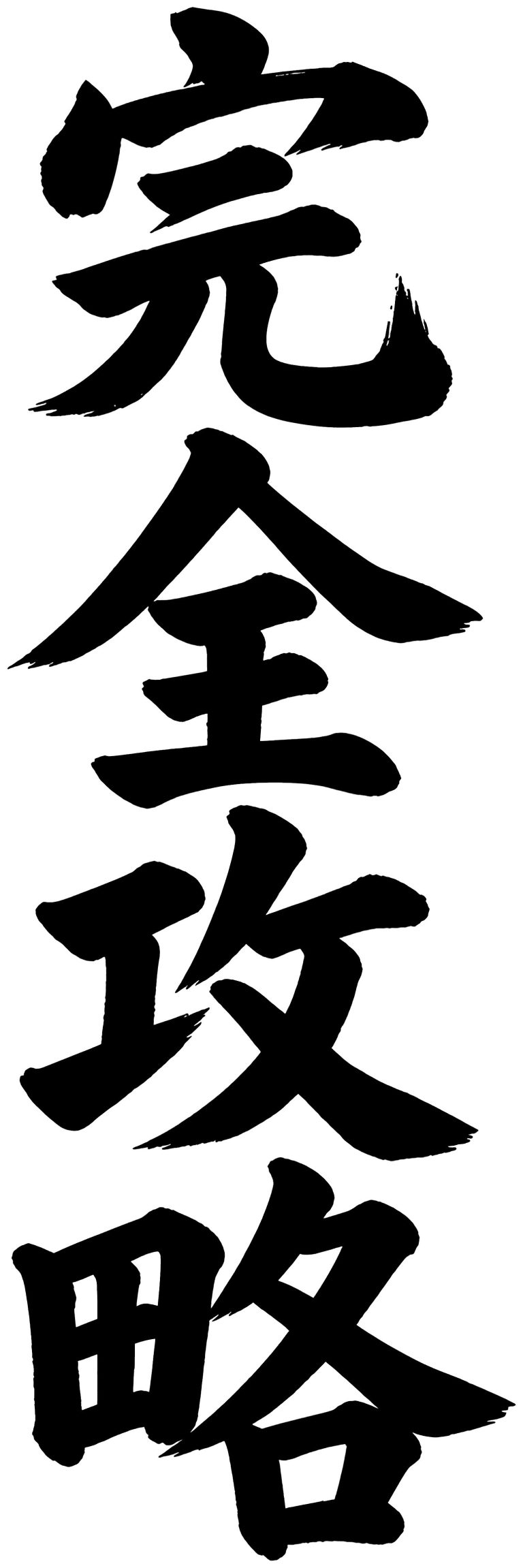 完全攻略