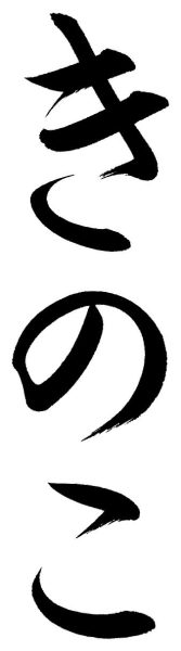 きのこ