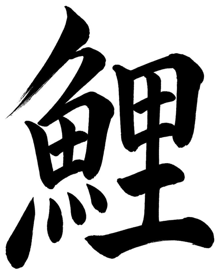 鯉