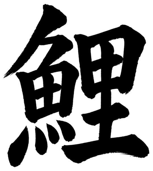 鯉