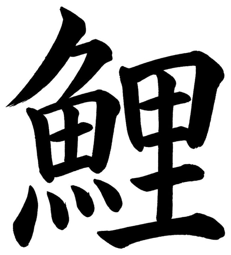 鯉