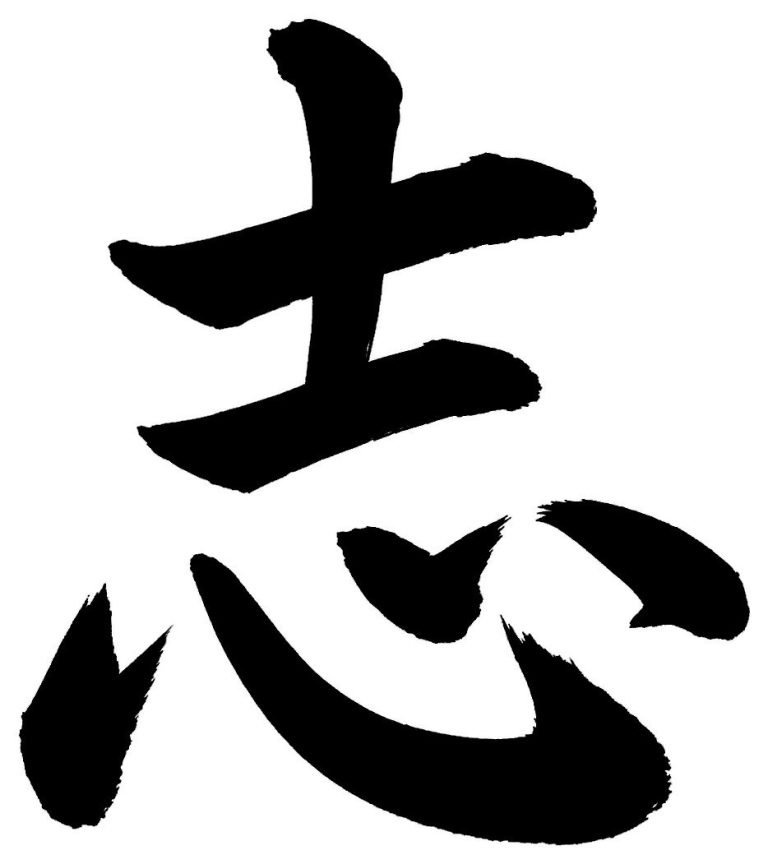 志