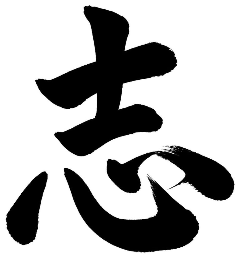 志