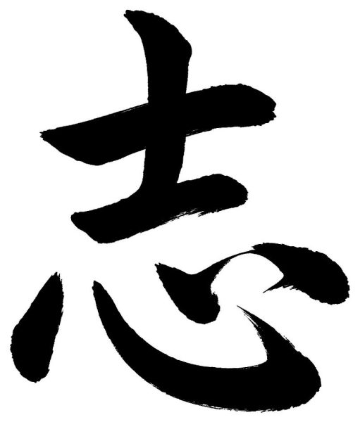 志