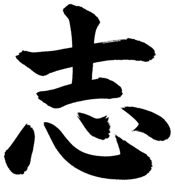 志