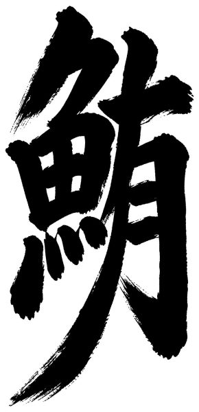 鮪