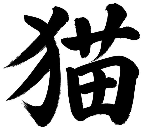 猫
