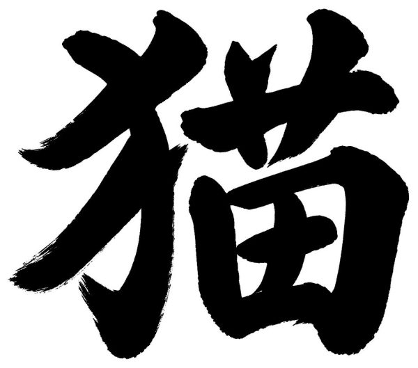 猫