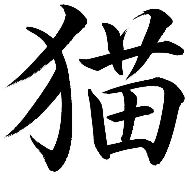 猫