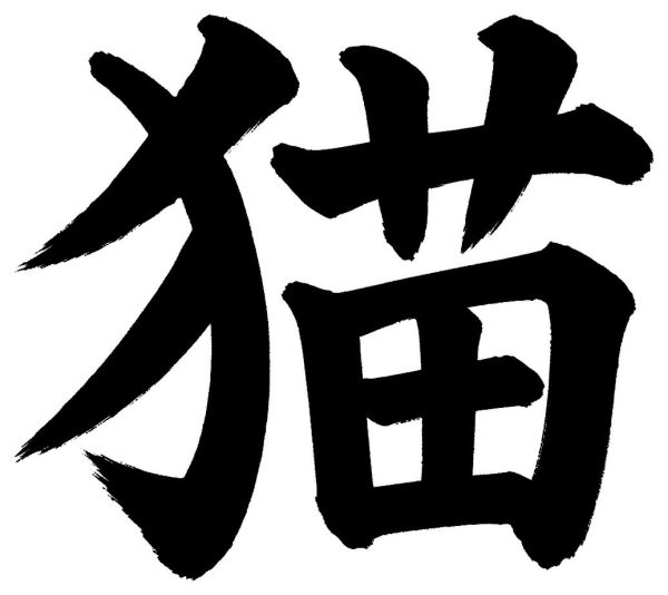 猫