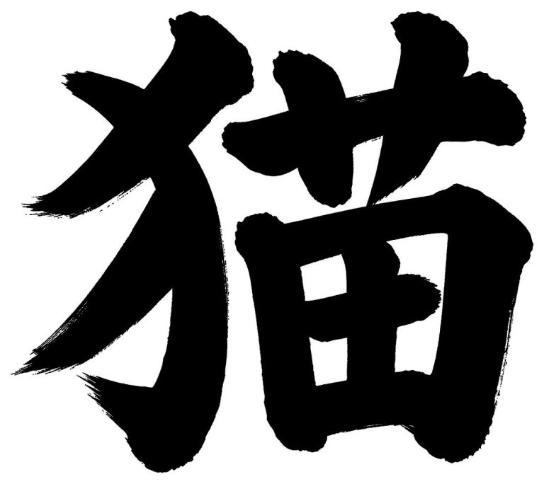 猫