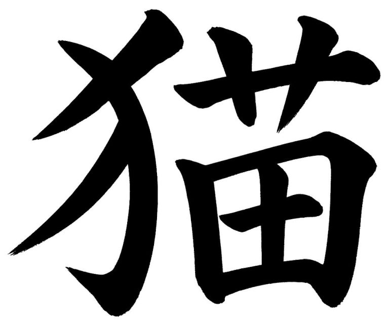 猫