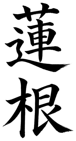 蓮根
