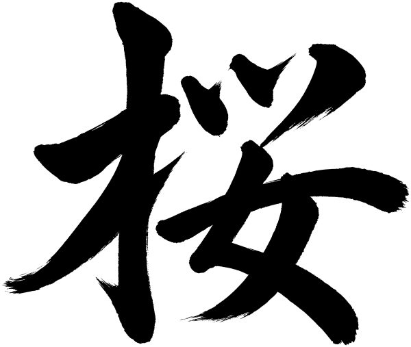 桜