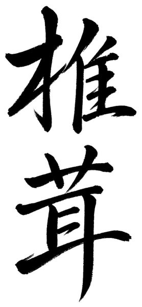 椎茸