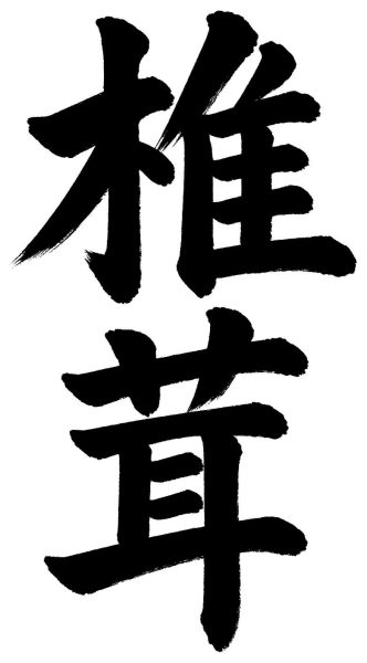 椎茸