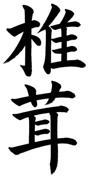 椎茸