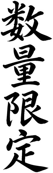 数量限定