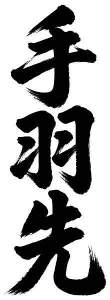 手羽先