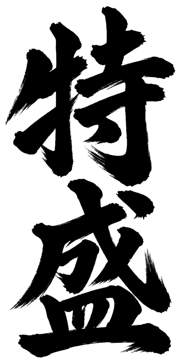 特盛の筆文字フリー素材