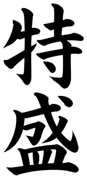 特盛