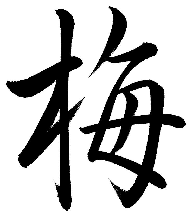 梅