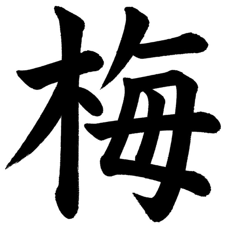 梅