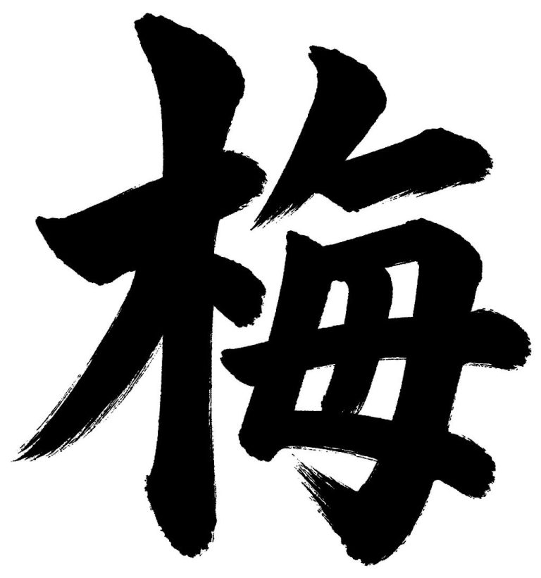 梅